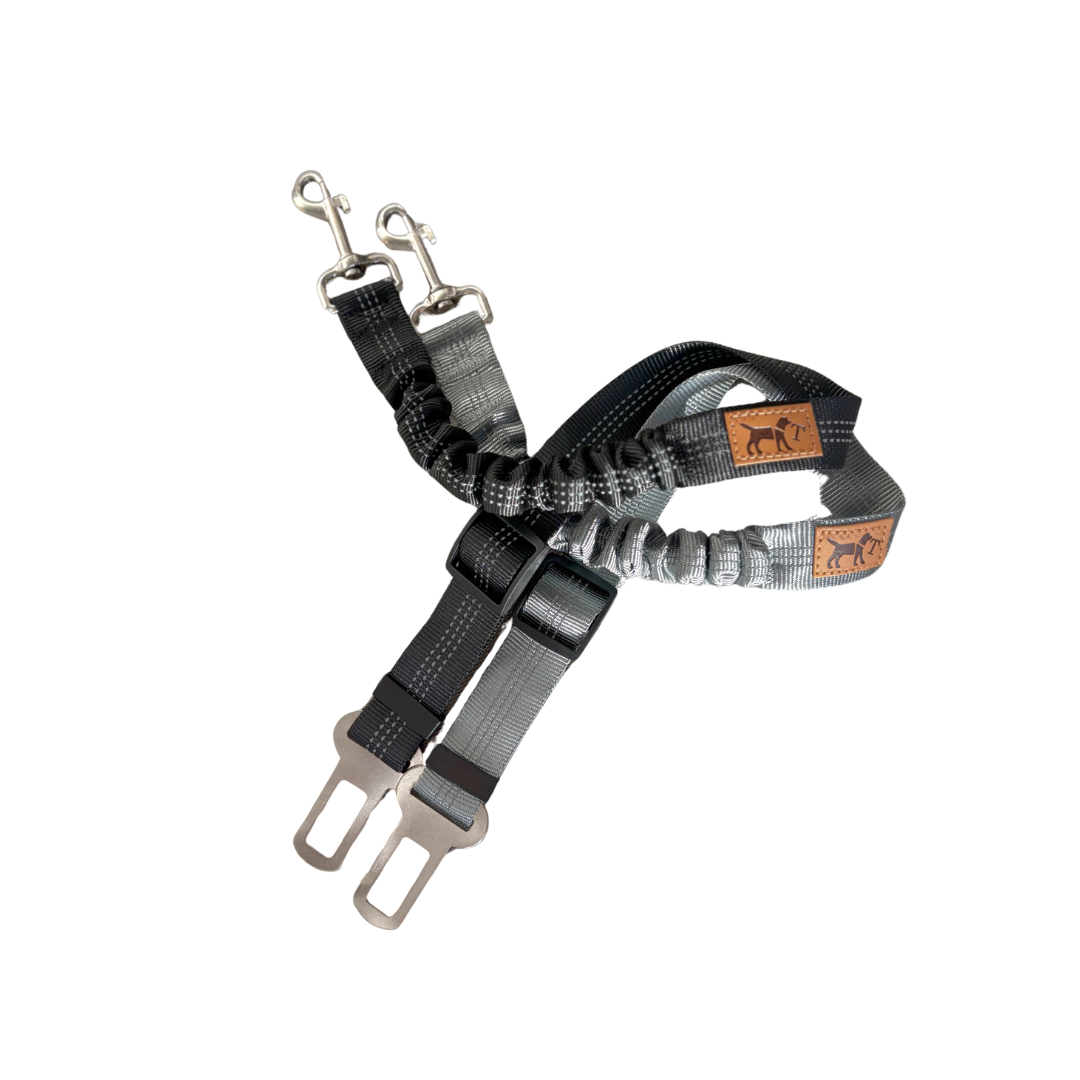 Car seat belt for dogs