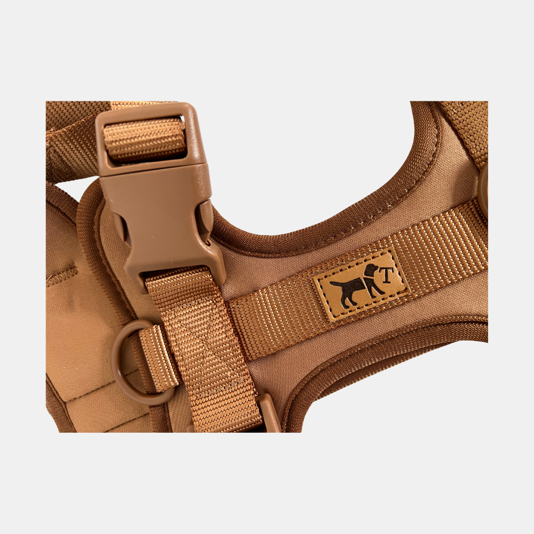 Desert Adventure Tour Kit