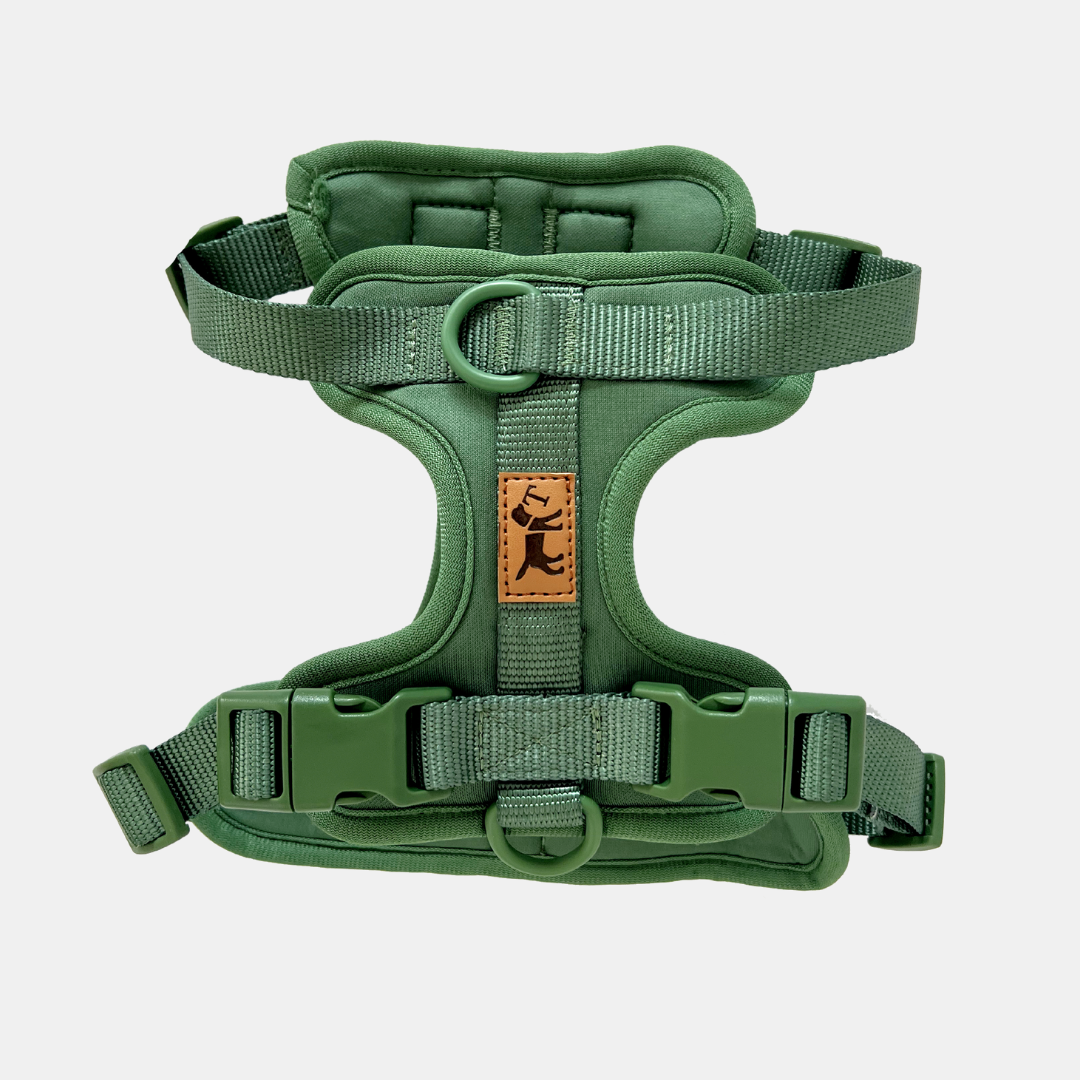 Adventure Jungle Walk Kit