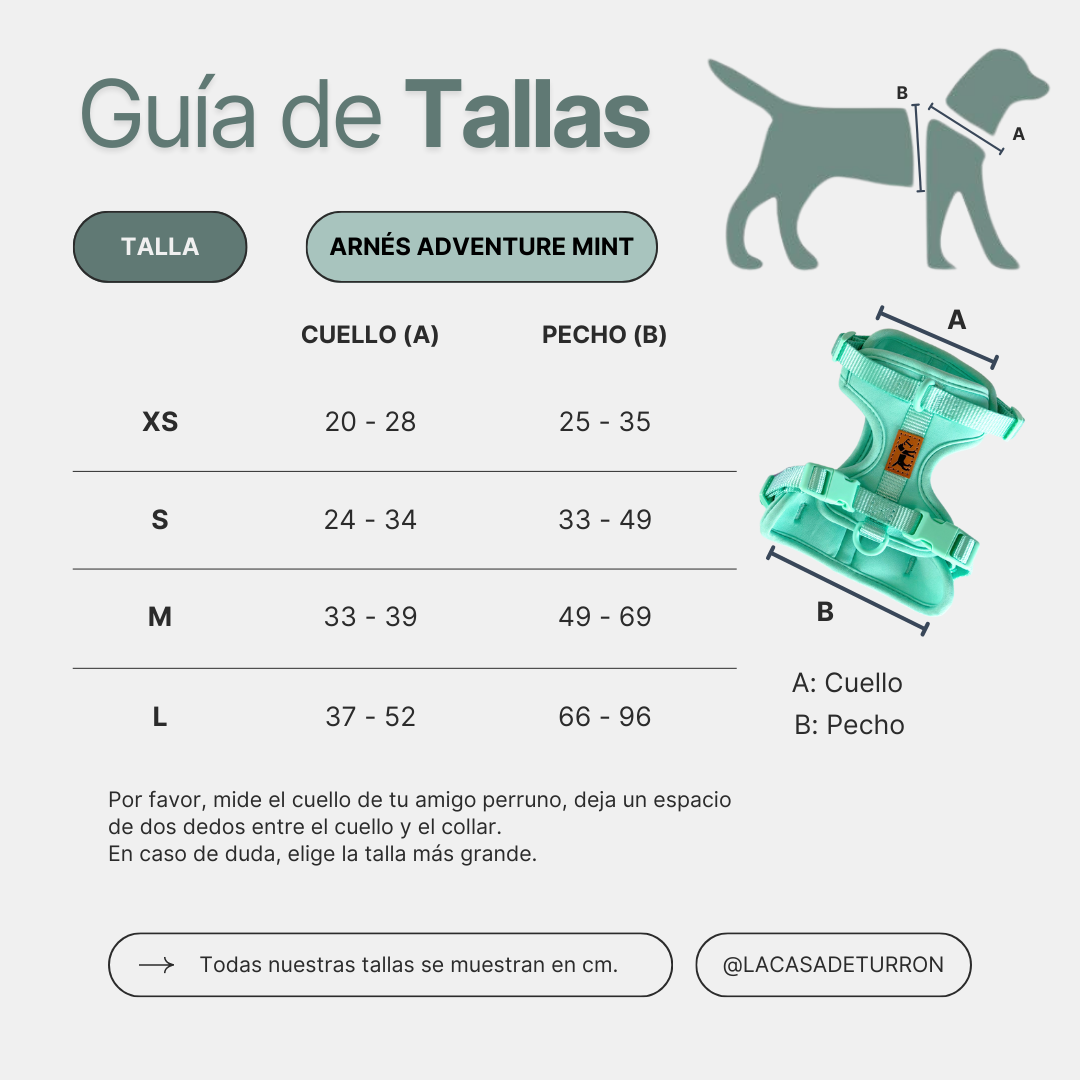 Adventure Harness Jungle