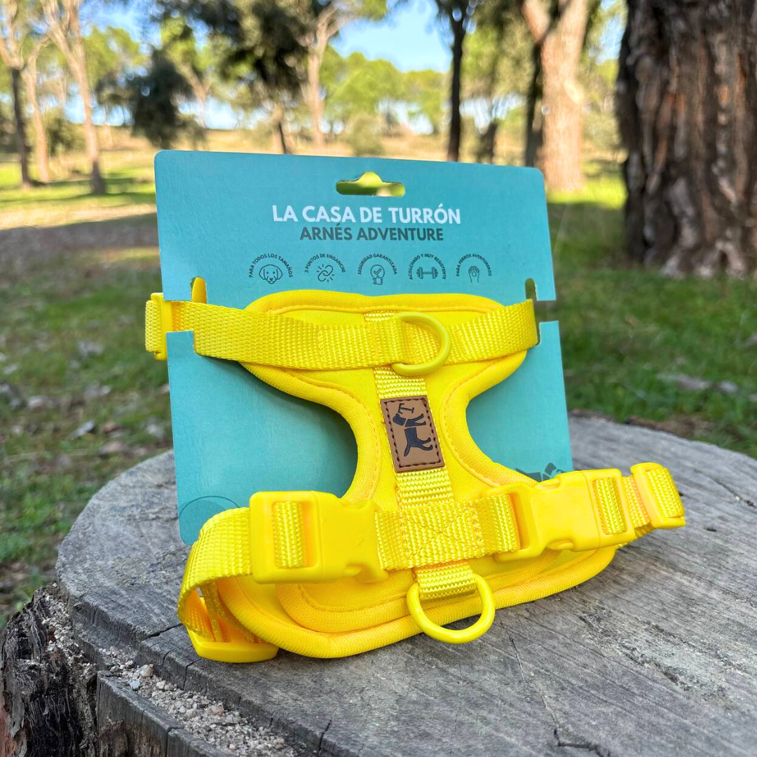 Adventure Beach Walk Kit