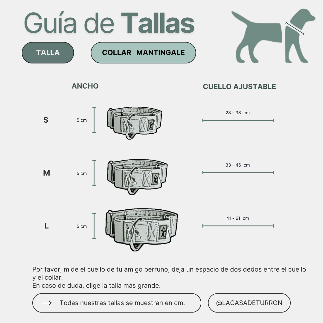Martingale Collar