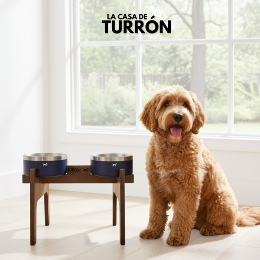 Arnés Adventure Jungle