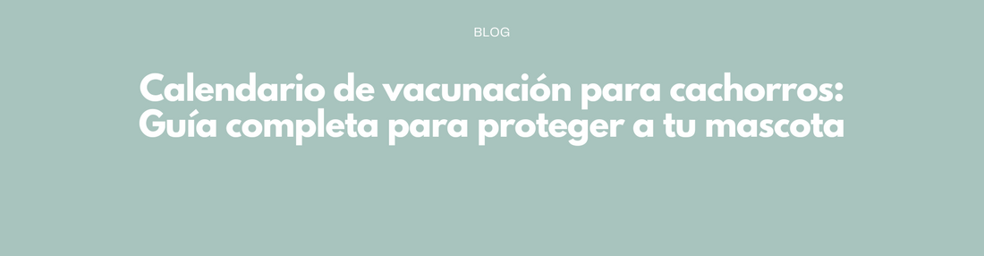 Calendario de vacunación para cachorros: Guía completa para proteger a tu mascota