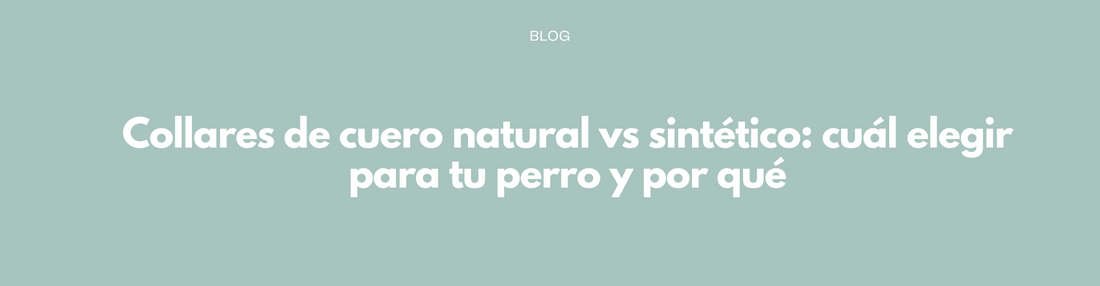 Collares de cuero natural vs sintético: cuál elegir para tu perro y por qué