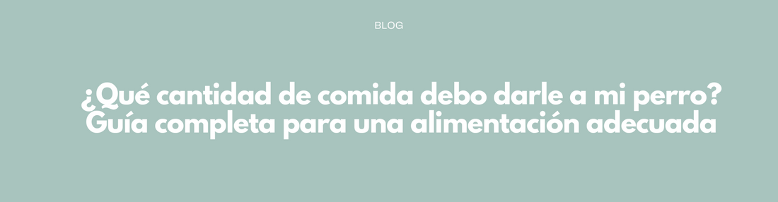 ¿Qué cantidad de comida debo darle a mi perro? Guía completa para una alimentación adecuada