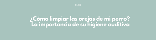 ¿Cómo limpiar las orejas de mi perro? La importancia de su higiene auditiva