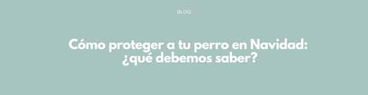 Cómo proteger a tu perro en Navidad: ¿qué debemos saber?