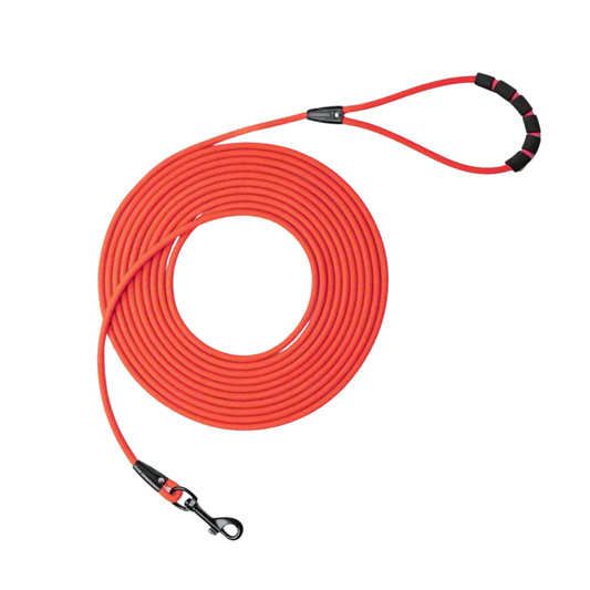 Kit de Paseo Adventure Lavender