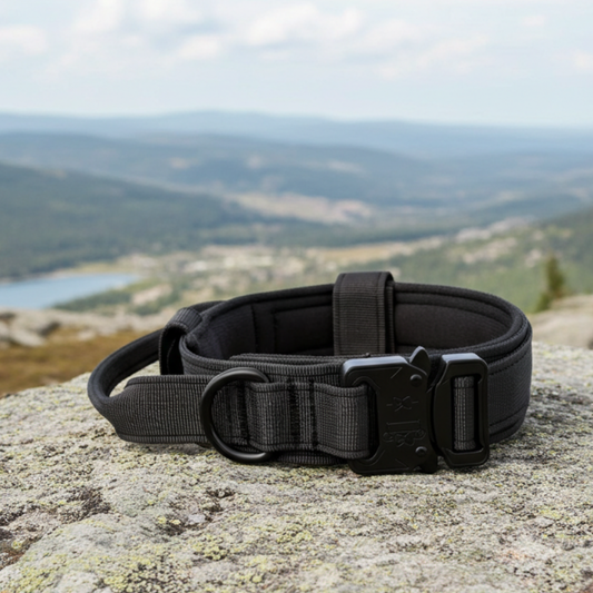 Bebedero antisalpicaduras NoSplash