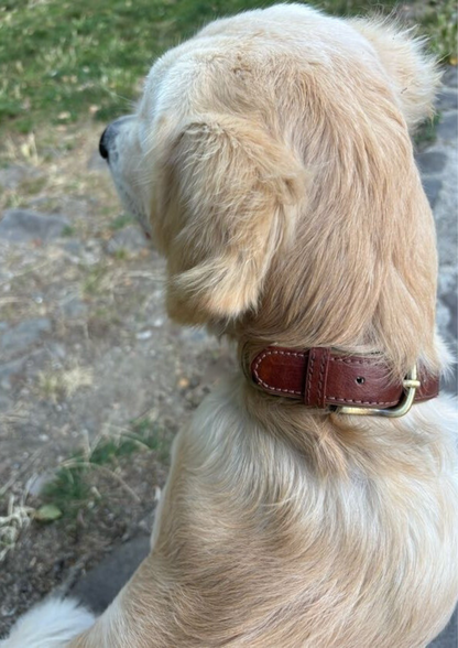 Elegance Leather Collar