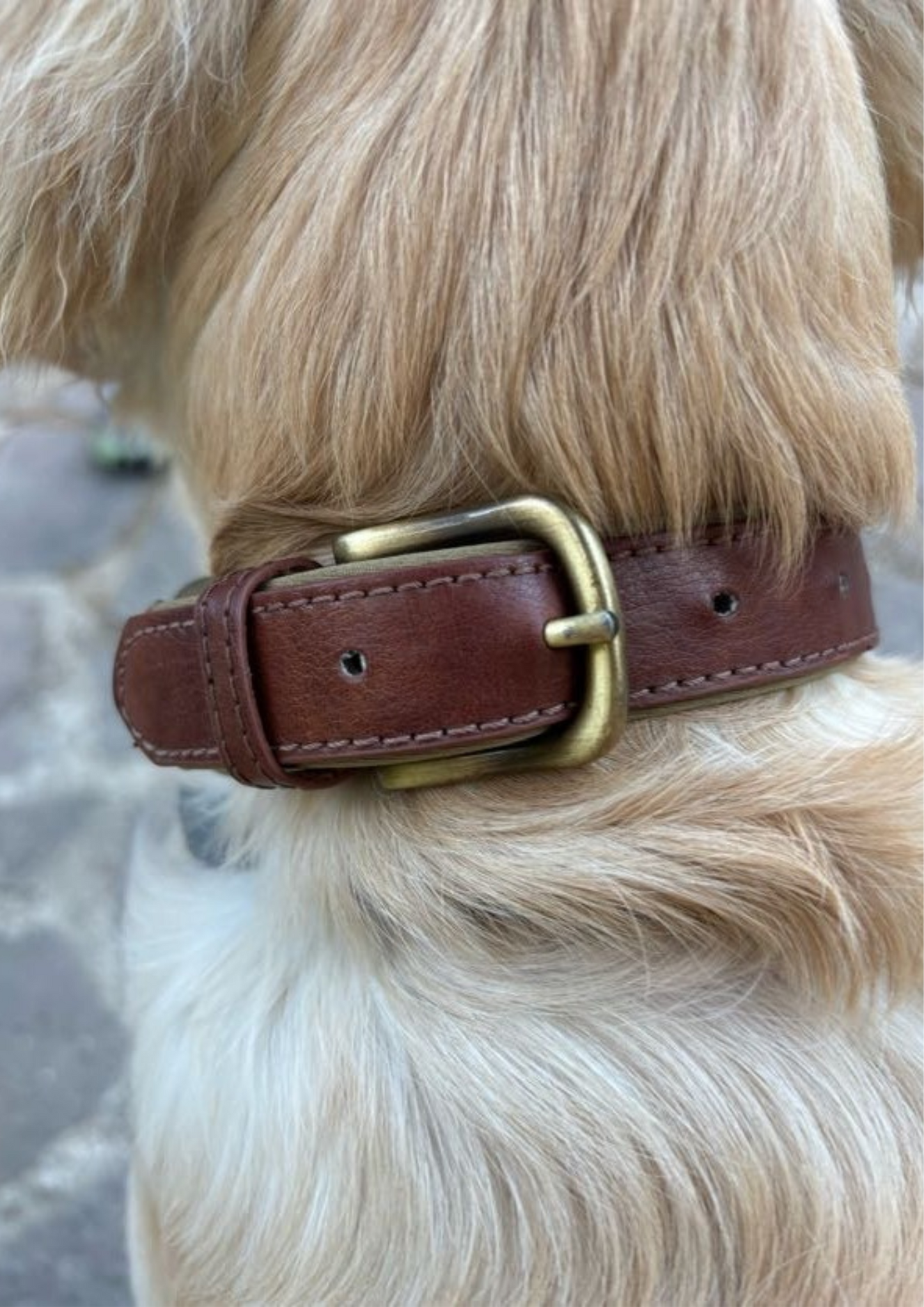 Elegance Leather Collar