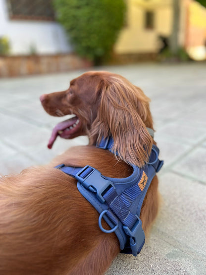 Adventure Harness Ocean