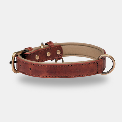 Elegance Leather Collar