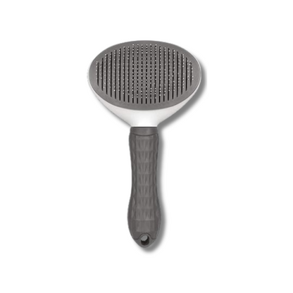 One-click cleaning hairbrush